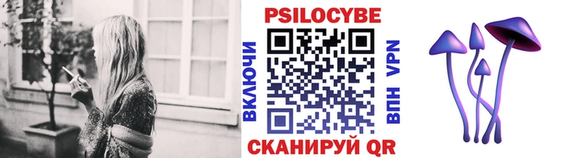 Псилоцибиновые грибы MAGIC MUSHROOMS  Купить  Шлиссельбург 